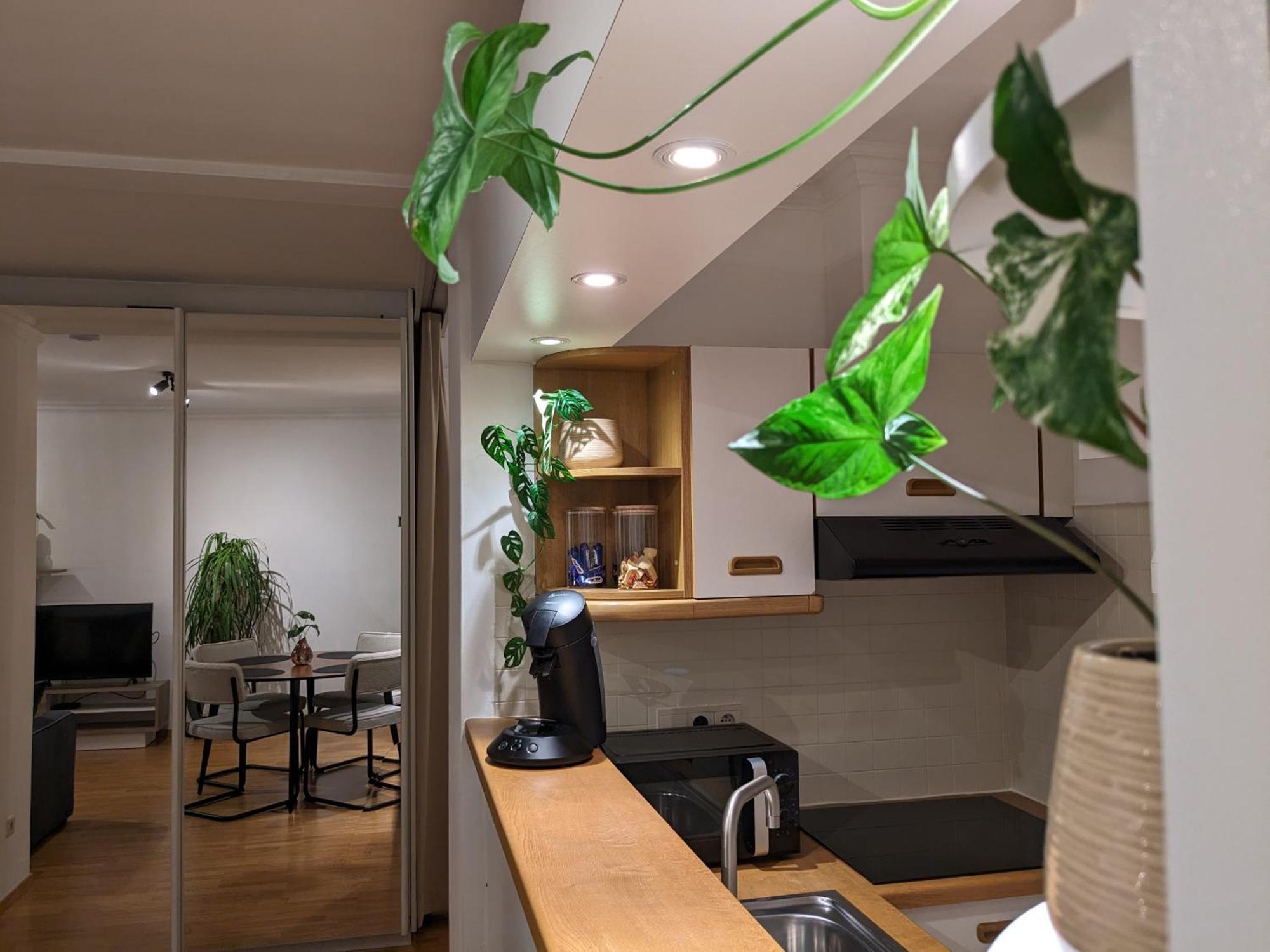 Vista Linda, Leuk Appartement Vlak Bij Zeedijk En Strand 오스텐드 외부 사진